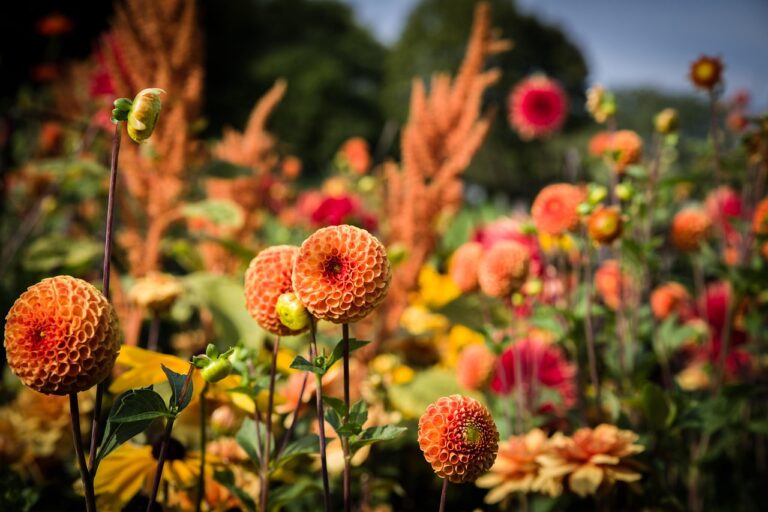 May Flowers: Cultivating a Growth Culture in Your Business