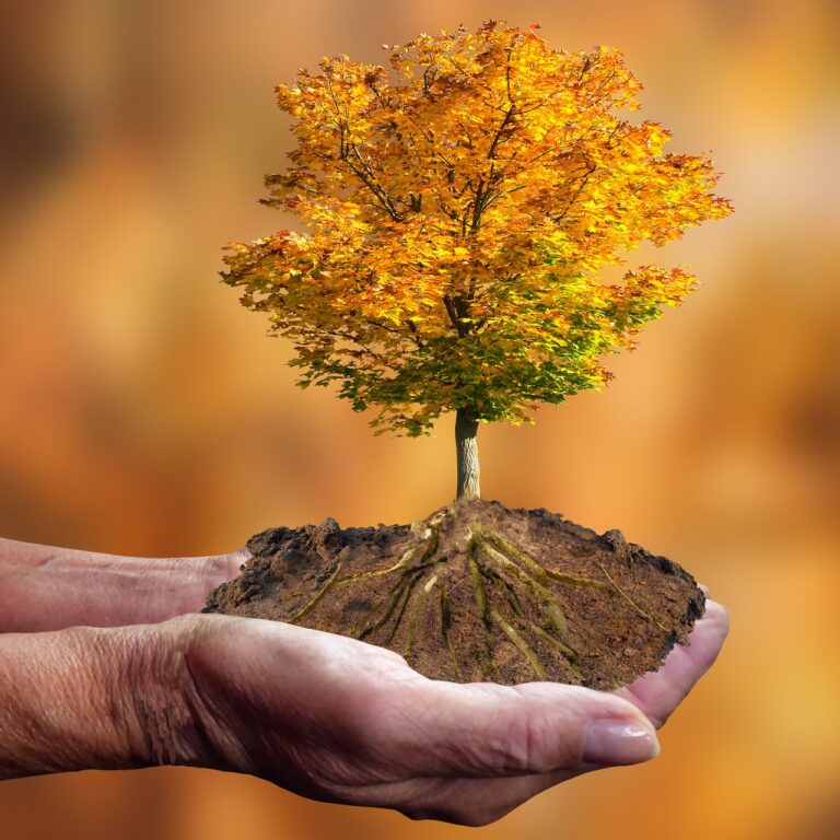 Legacy Building 101: What Will You Leave Behind?