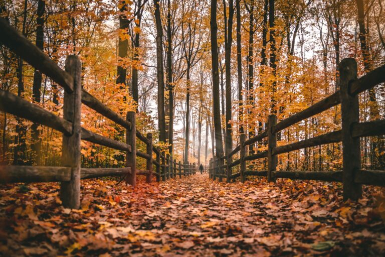 Fall Focus: Sharpen Your Growth Strategy for Year-End Success